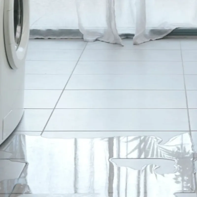 Appliance Leak Cleanup in Wayne County, GA