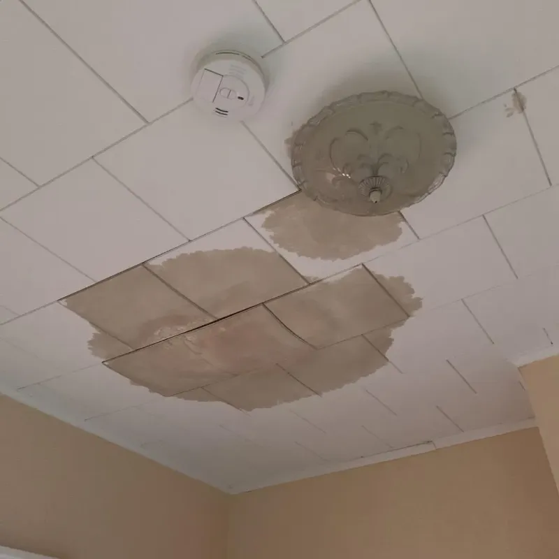 Ceiling Water Damage Repair in Wayne County, GA