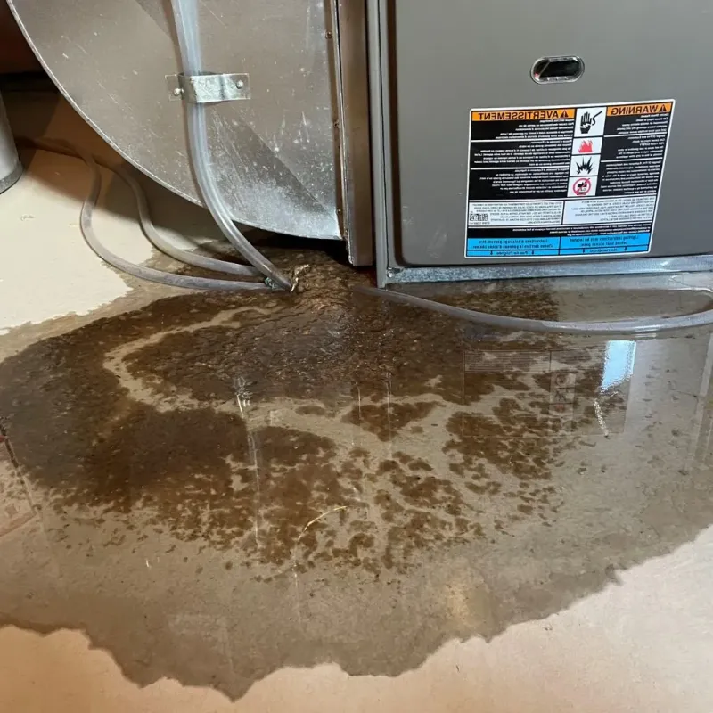 Pipe Burst and Leak Restoration in Wayne County, GA